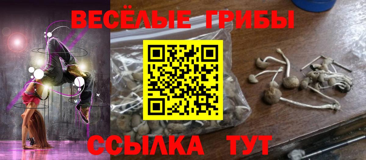 Галлюциногенные грибы Psilocybine cubensis  Псилоцибиновые грибы Cubensis  Бийск  Вход с VPN 